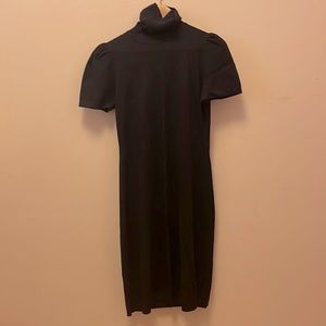 Express Sweater Dress